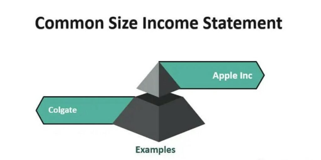 تحليل الحجم المشترك - التحليل المالي لقائمة الدخل